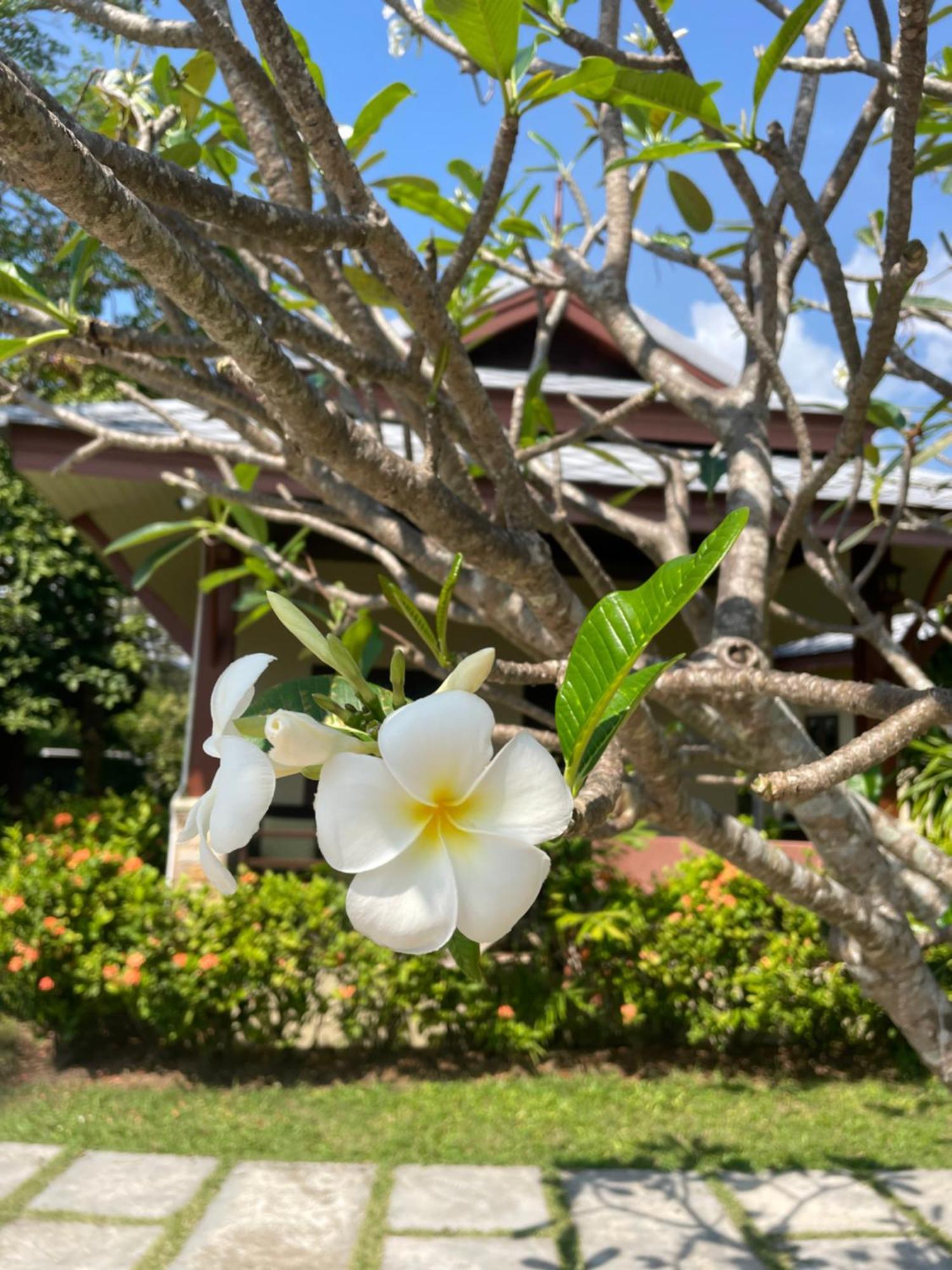 Grand Manita Beach Resort Lamai Beach  Exterior photo